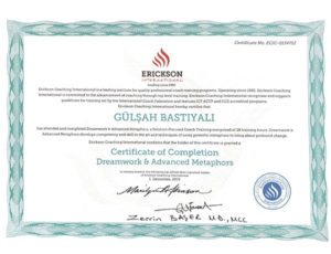 Erickson International Certificate of Completion Dreamwork & Advanced Metaphors